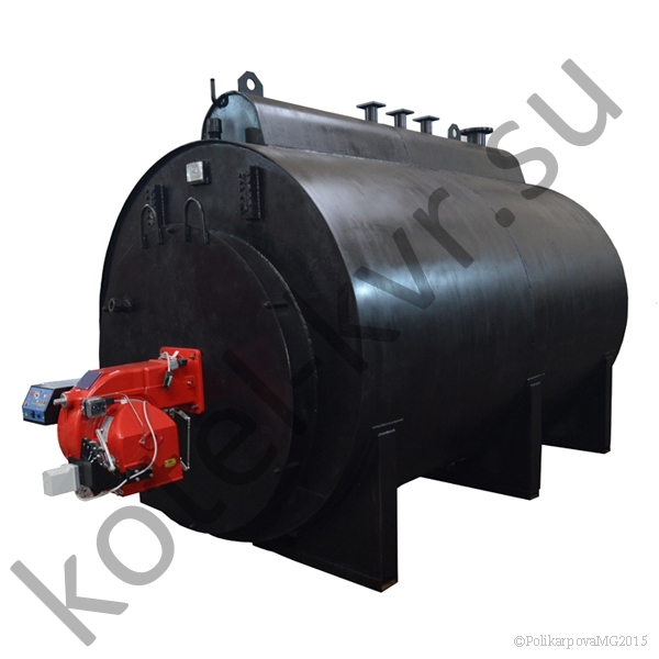 Газовый парогенератор 700 кг
